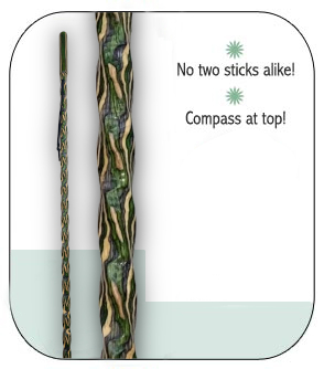 View of Rustic Hiking Stick